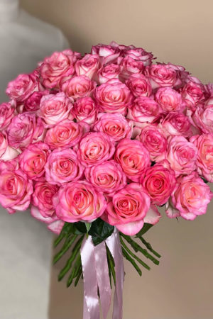 Букет из 55 сибирских розово-белых роз