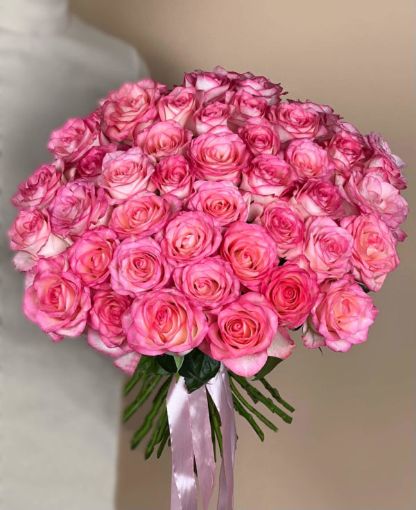 Букет из 55 сибирских розово-белых роз